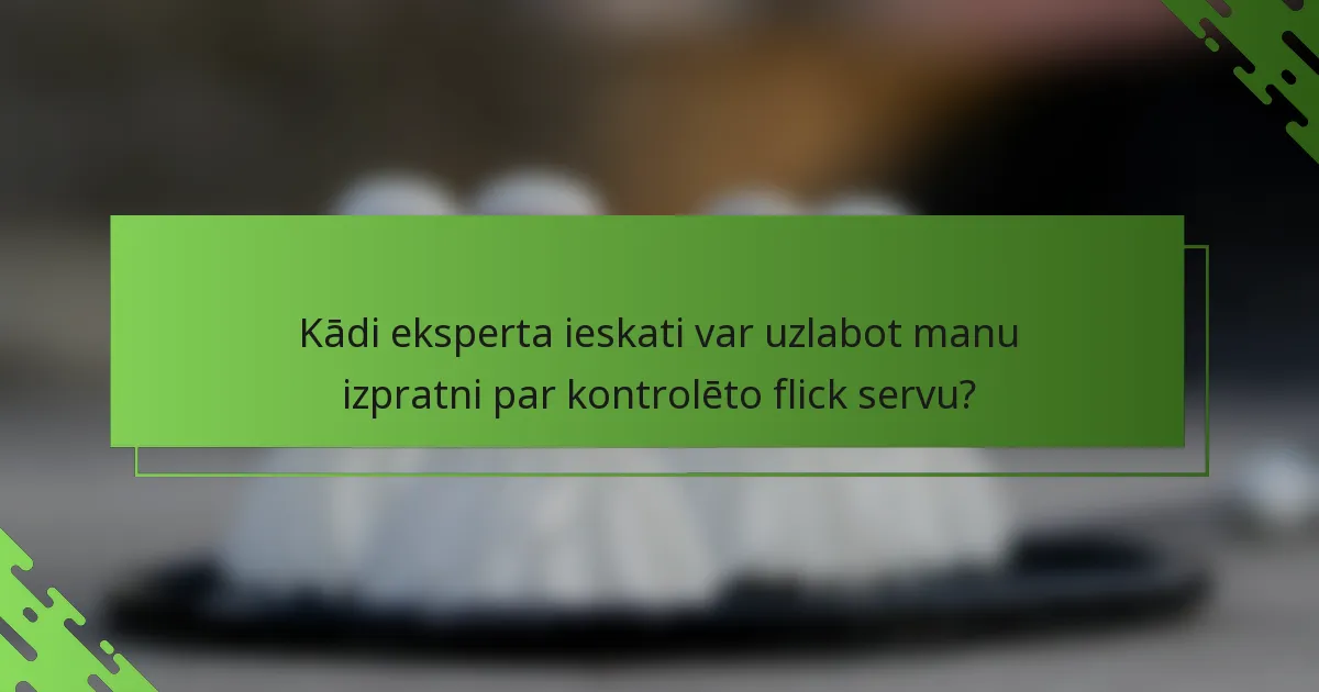 Kādi eksperta ieskati var uzlabot manu izpratni par kontrolēto flick servu?